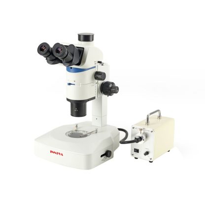 Stereo Microscope